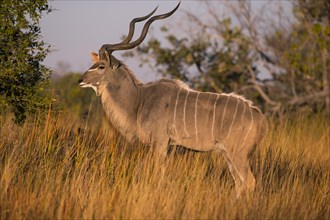 BRK20A55_333.JPG