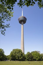 BRK20A56_483.JPG