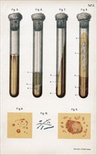 HRM19B64_116.JPG