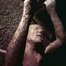 HRM19B67_240.JPG