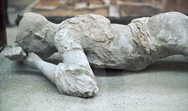 HRM19B80_482.JPG