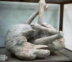HRM19B80_484.JPG