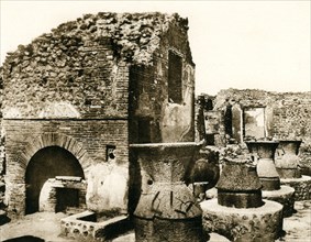 HRM19C45_267.JPG