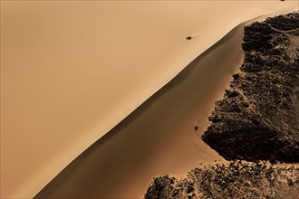 PPX09195_600A2867.JPG
