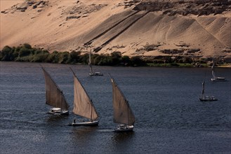 PPX09195_F2E2835.JPG