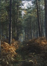 TGB19A00_048.JPG