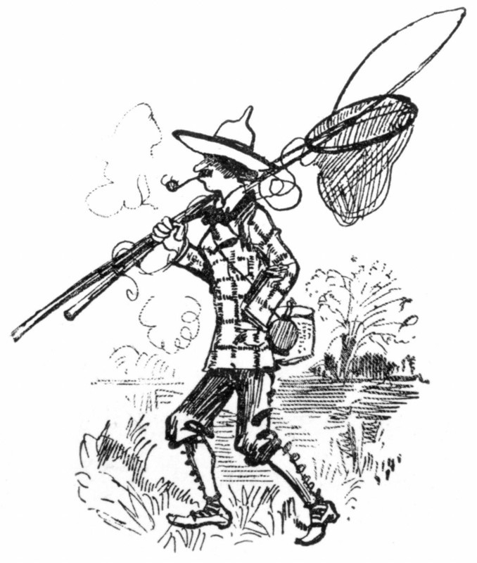 Boarder on the path of regeneration, illustration by Robida