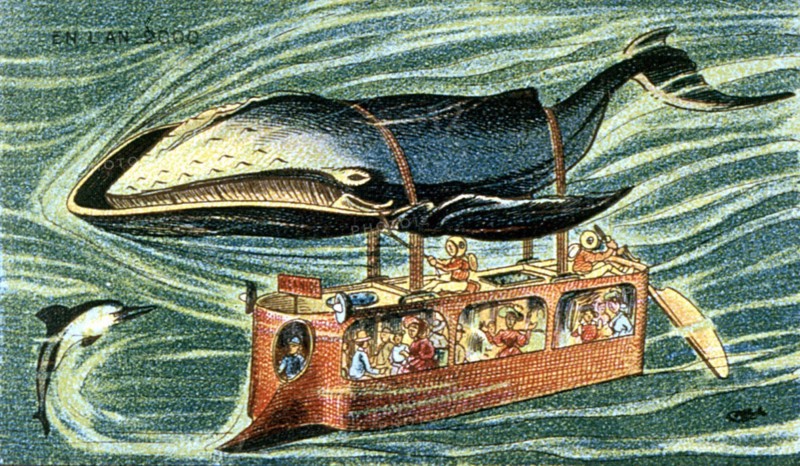 La vie sous la mer en l'an 2000