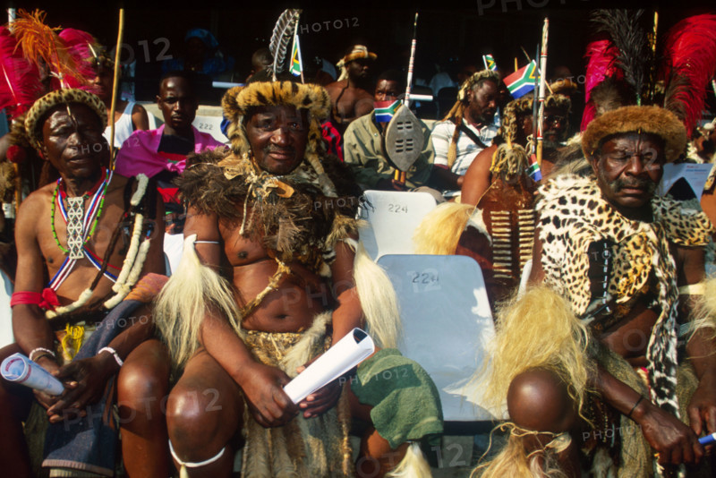 Zulu Warriors