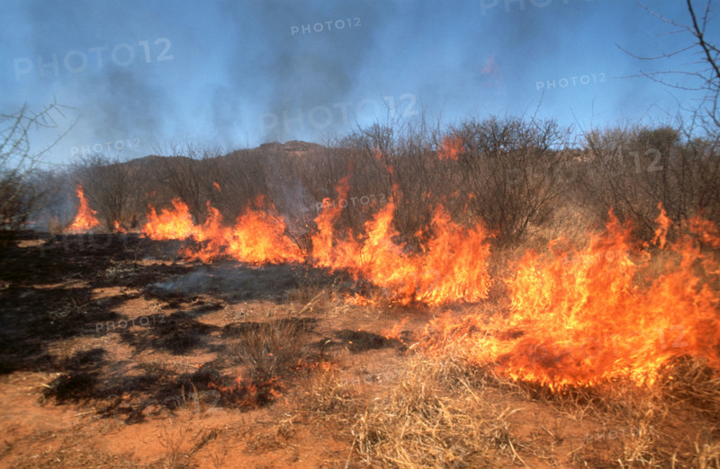 Grass Fire
\n