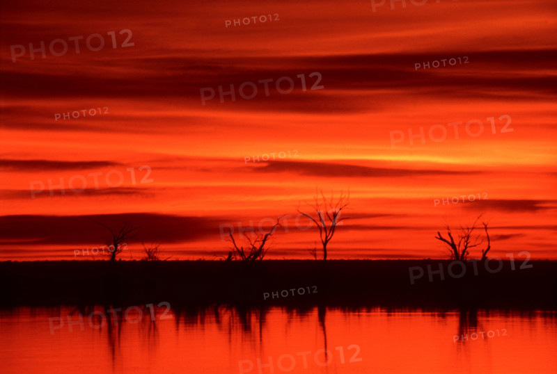 Red sunset Chobe River
\n