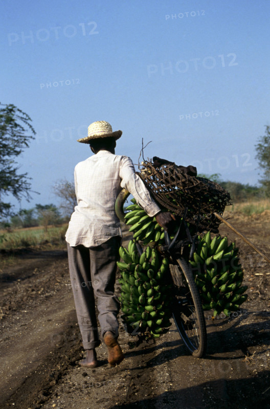 BANANA MAN PUSHING BICYCLE, QUEEN ELIZABETH PARK, UGANDA