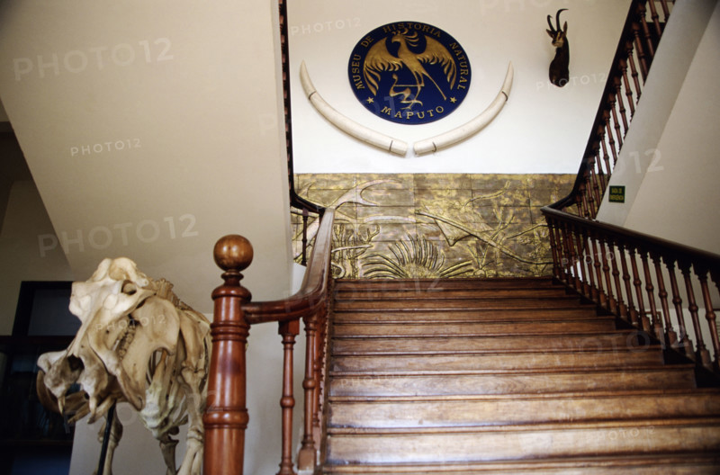 Museu da Historia Natural