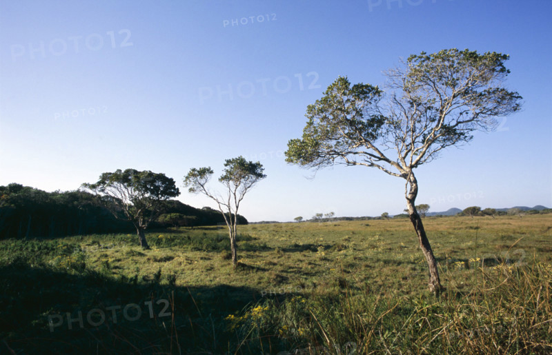 Eastern Shores