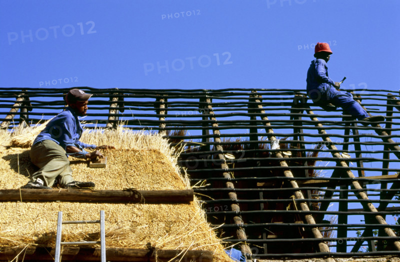 Thatching