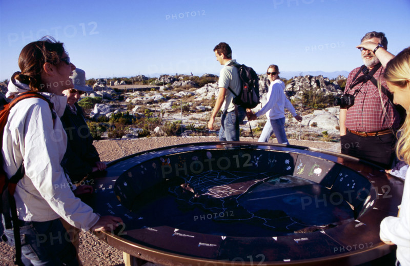 Table Mountain