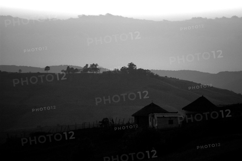 Fog nets