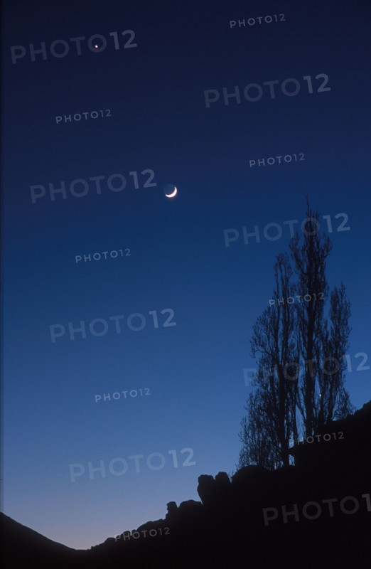 sickle moon and a star