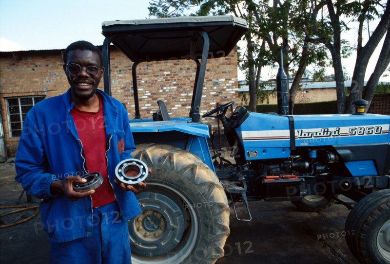 farming in Zimbabwe