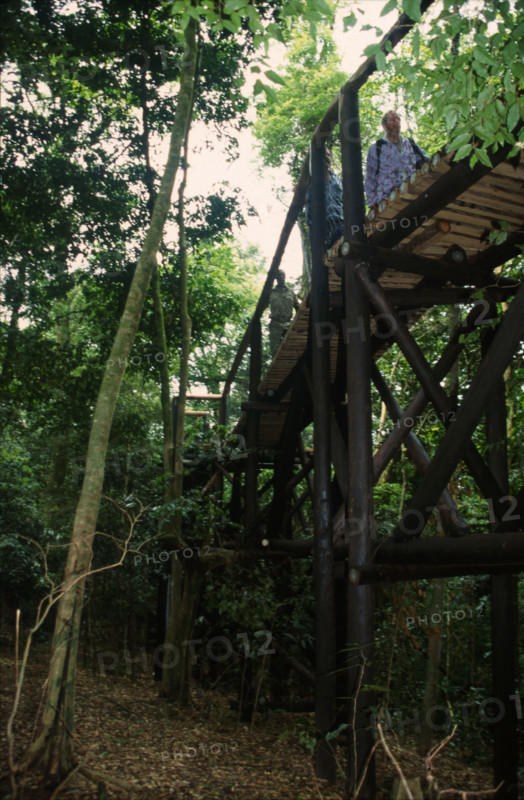 Dlinza forest
