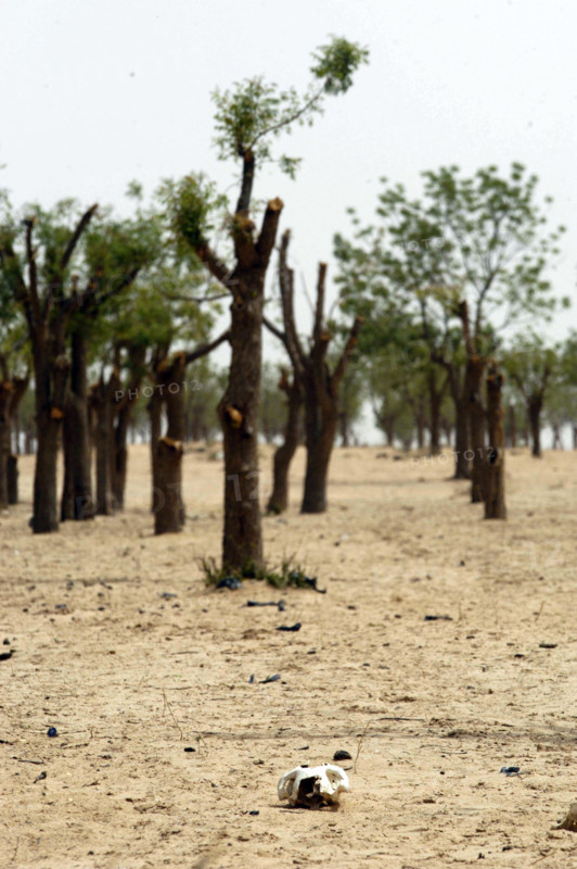 El Geneina in West Darfur on June 10, 2004. (Photo by Christine Nesbitt)