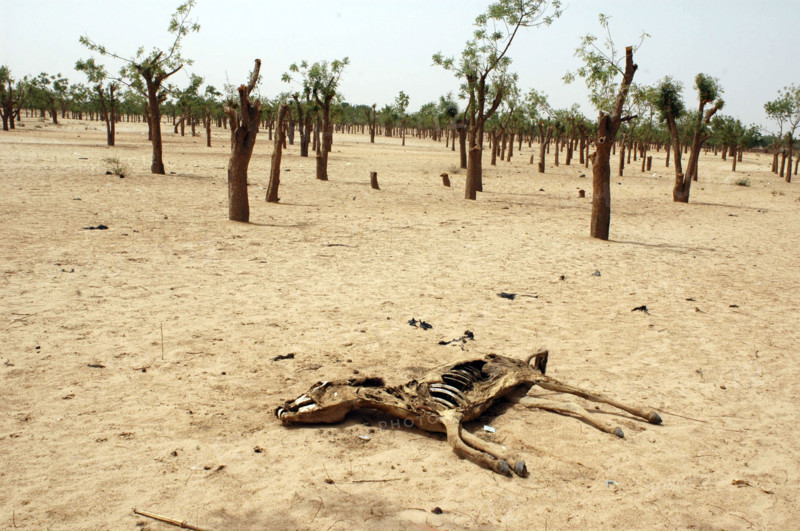 Darfur