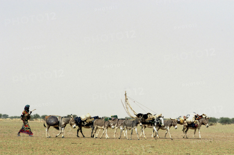 Niger