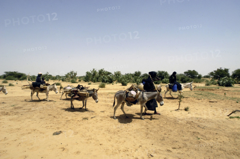 Niger