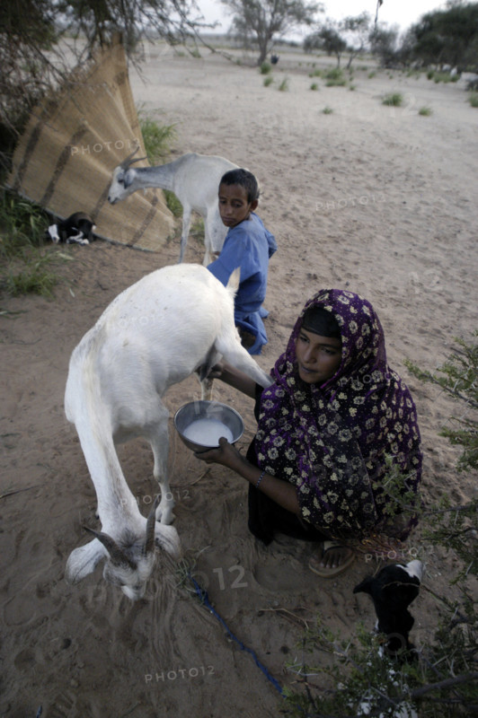 Niger