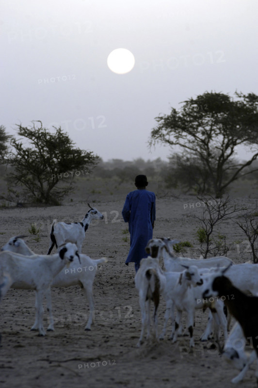 Niger