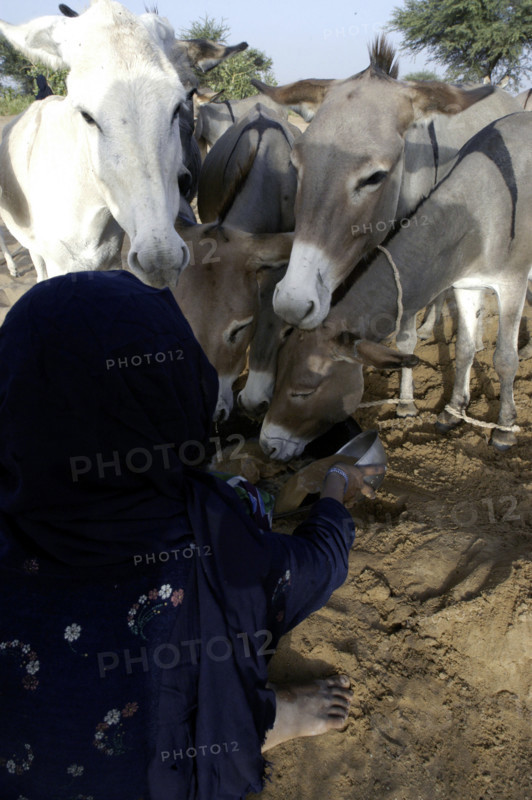 Niger