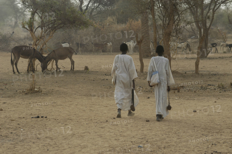 Darfur