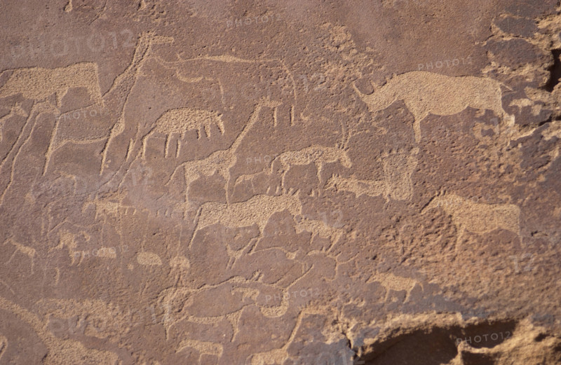 Rock Engravings
