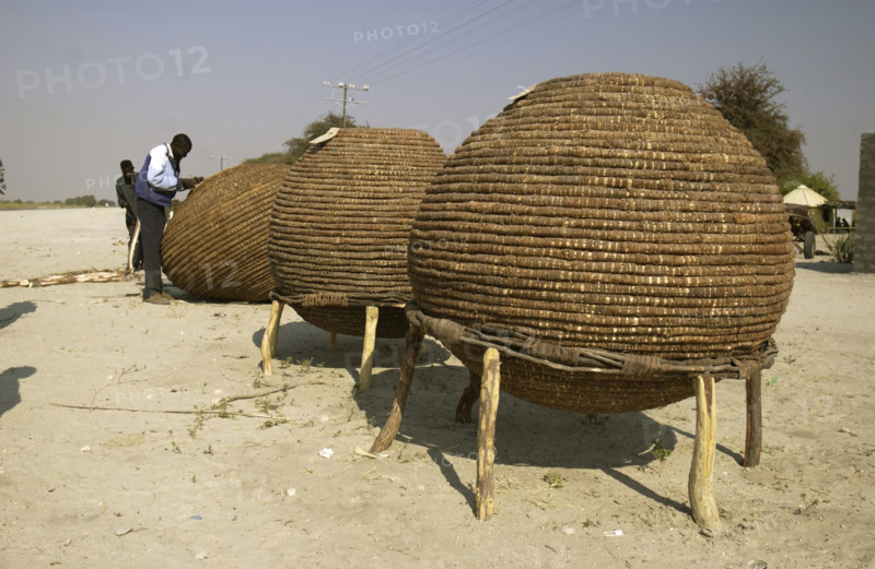 Basket making