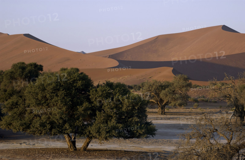 Red Dunes