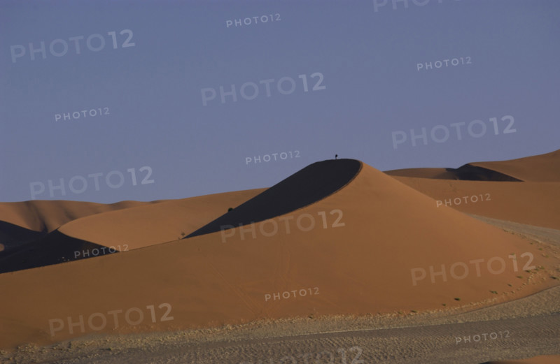 Red Dunes