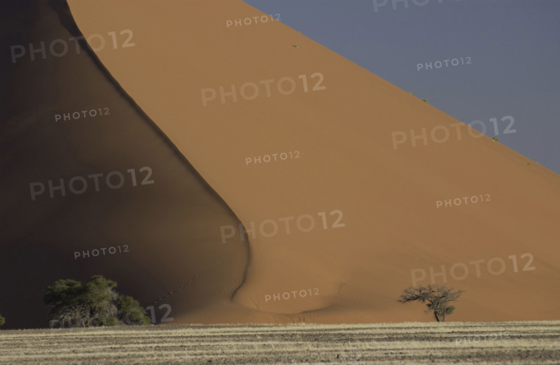 Red Dunes