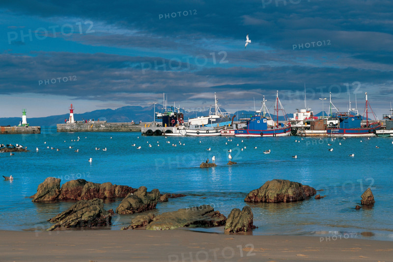 KALK BAY HARBOUR