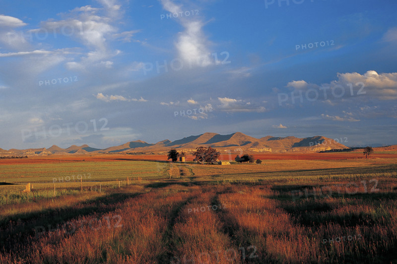 FREE STATE FARMLANDS