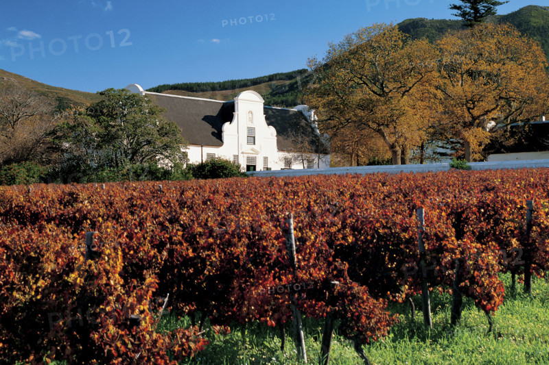 CONSTANTIA WINE ESTATE