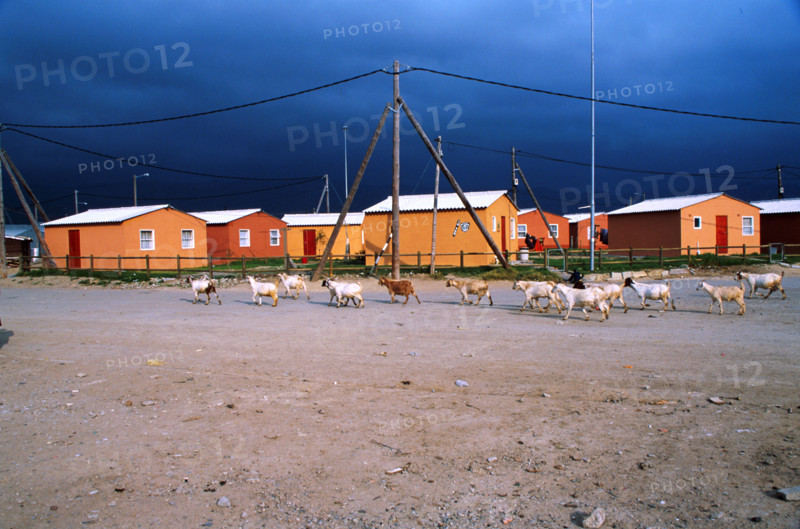 low cost housing