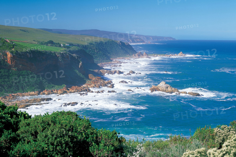 THE KNYSNA HEADS