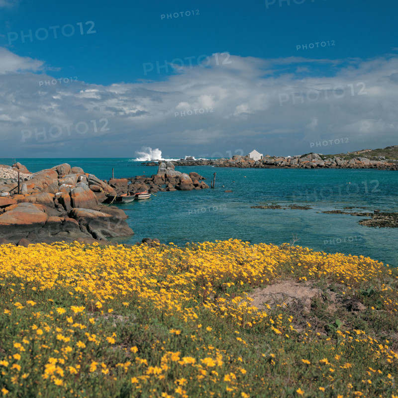 JACOBSBAAI