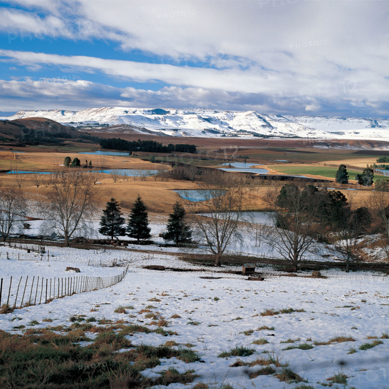 WINTERTIME IN THE FOOTHILLS OF THE DRAKENSBERG