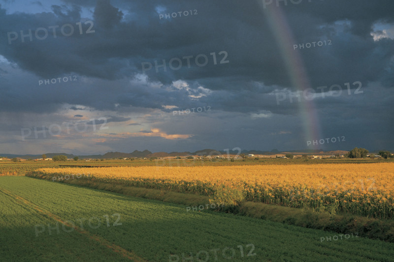 ORANGE RIVER VALLEY