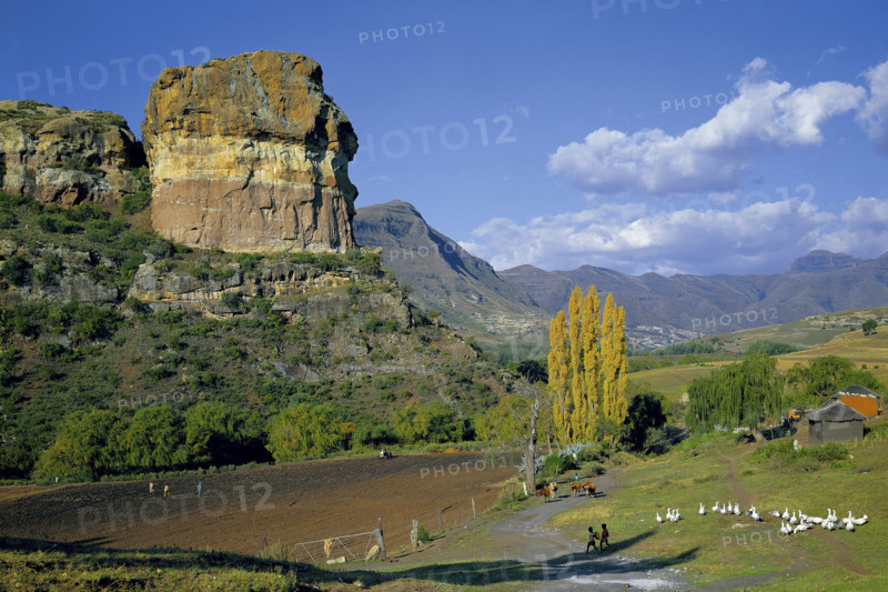 SANDSTONE FORMATIONS