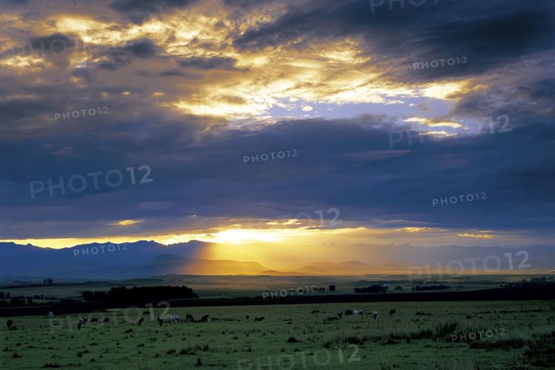 WINTERTON AT SUNSET