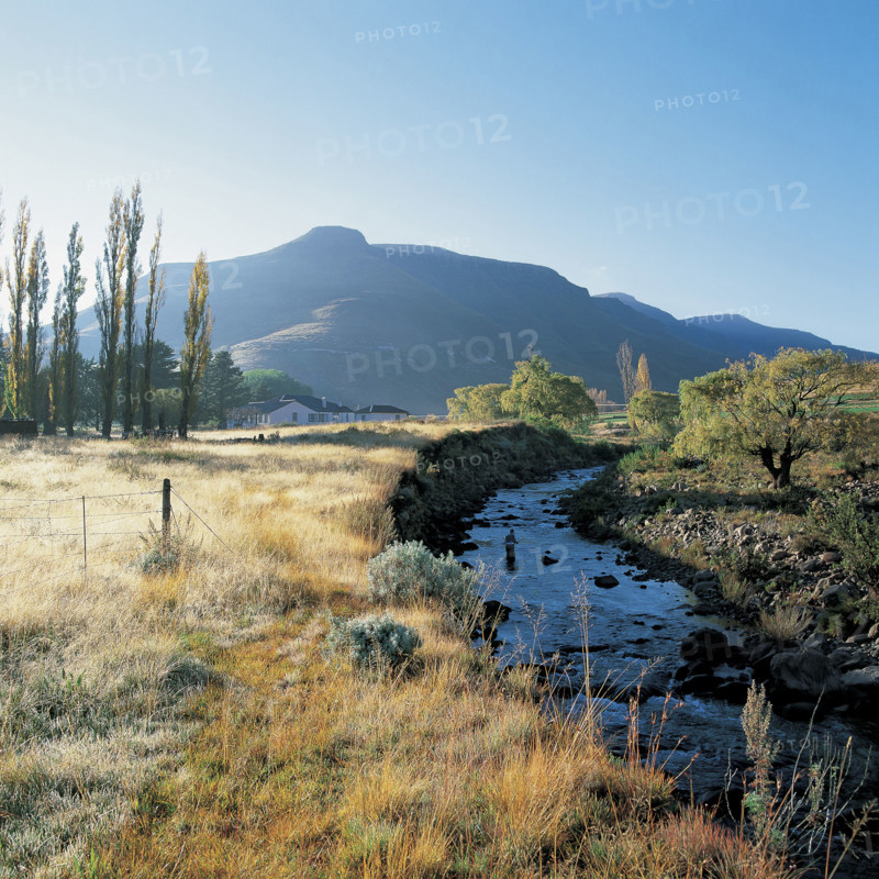 TROUT FISHING