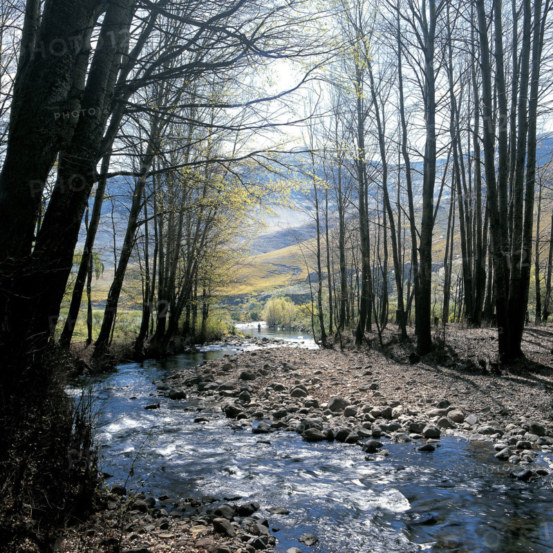 TROUT FISHING