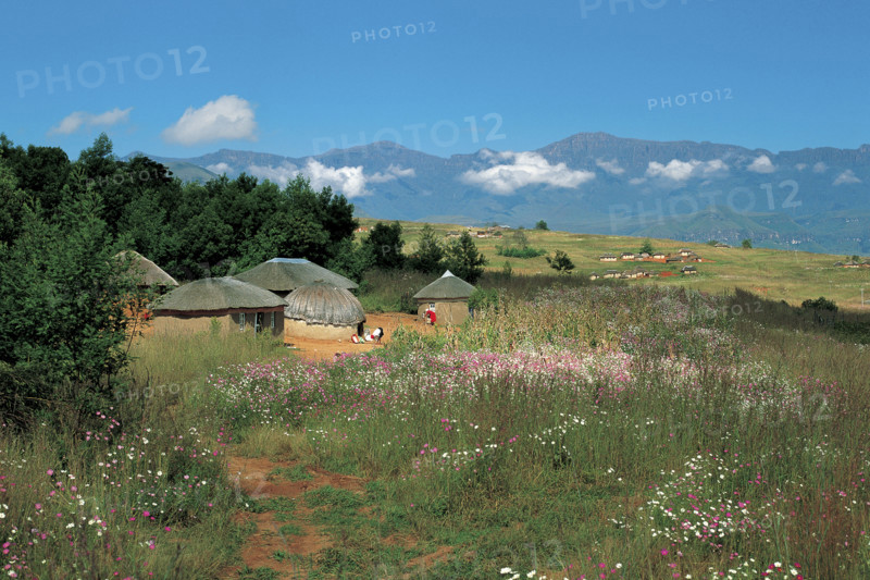 ZULU HUTS
